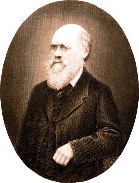 Copper engraving of Charles Darwin. The illustration is from 4th edition German translation of "The origin of species" published in 1870 (copyright outdated)