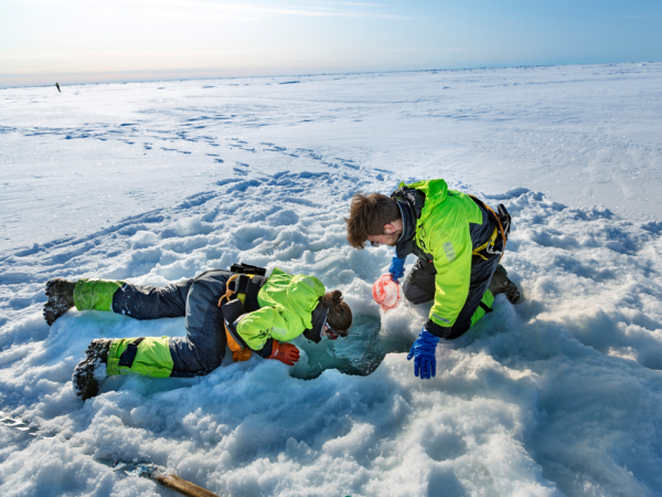 To forskere på polarisen ser ned i et hull i isen